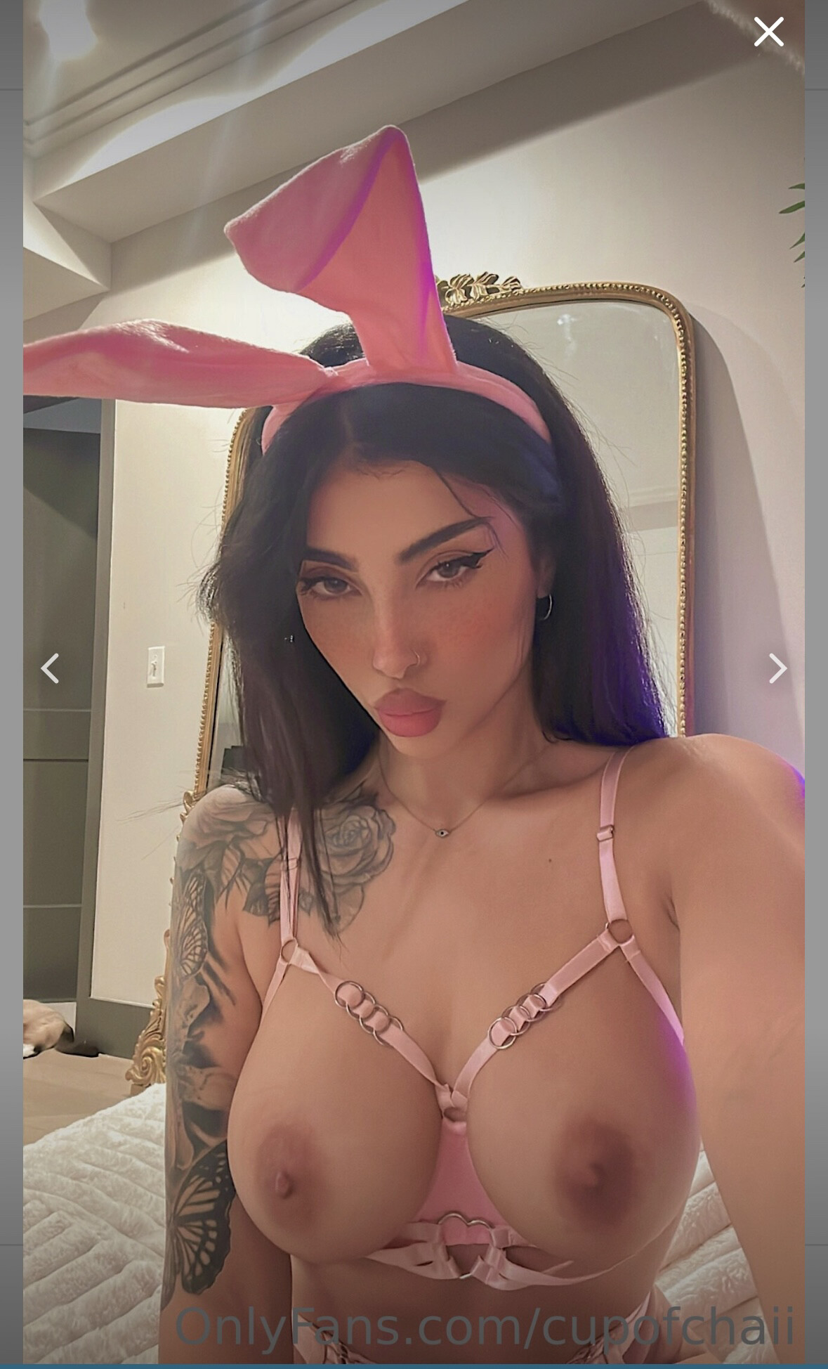 Rose Zara Nude Onlyfans Cupofchaiii Twitch Leaked Video Celeb Jihad