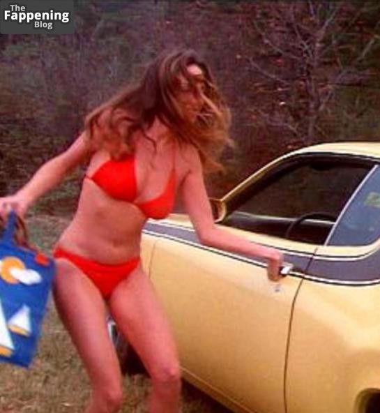 Catherine Bach Nude & Sexy Collection (5 Pics)